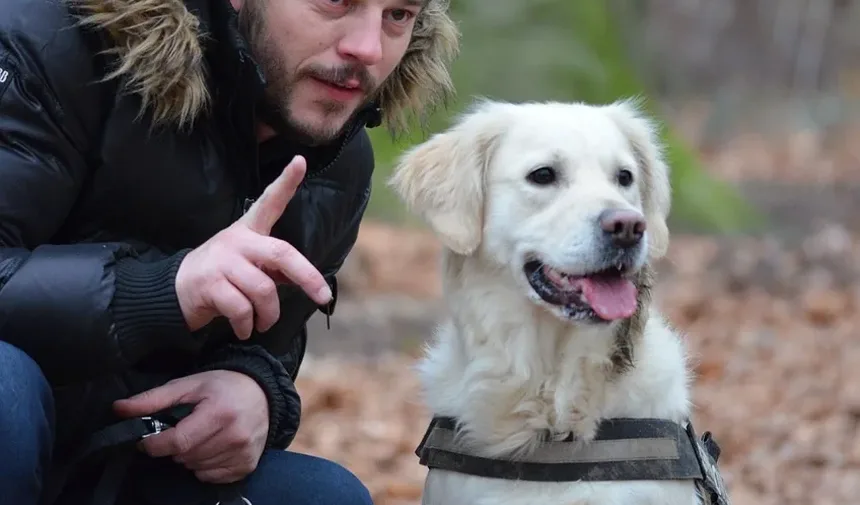 Com que Frequência Cortar as Unhas do Meu Cão: Um Guia Completo